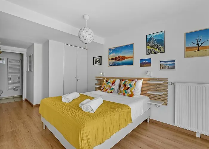 Le Patio Guilhemery Appartement Toulouse